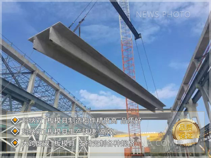 1718702569887141.jpg 双T板模具03.jpg