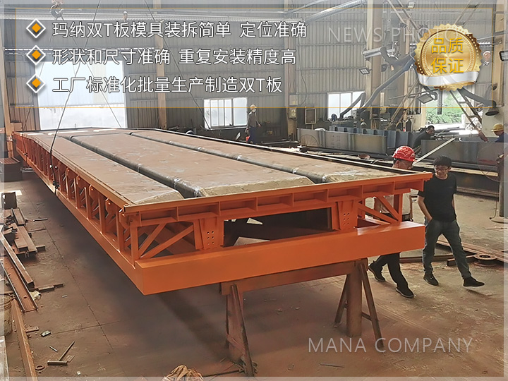 1718702615719593.jpg 双T板模具02.jpg