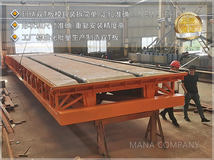 1727167490980298.jpg 玛纳双T板模具01.jpg