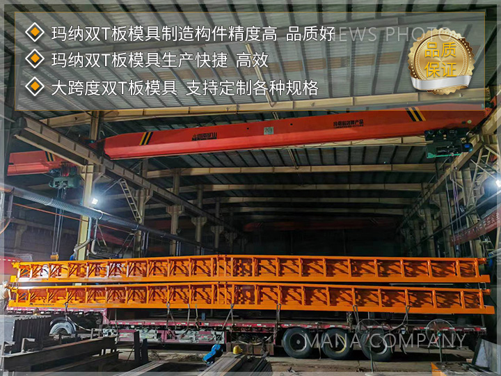 1727167643580379.jpg 玛纳双T板模具02.jpg